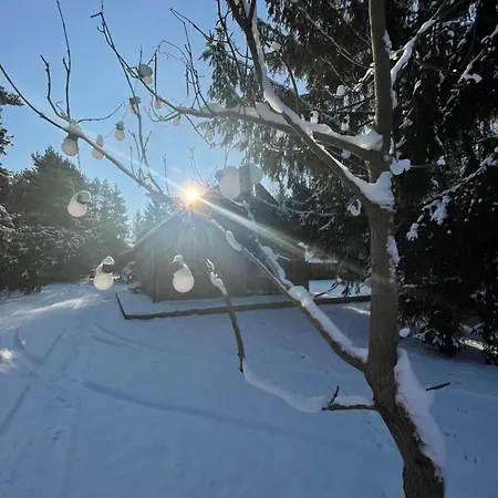 Skandynawskie Nad Pilica, Duzy