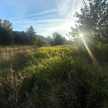Skandynawskie Nad Pilica, Duzy بيت للعطل