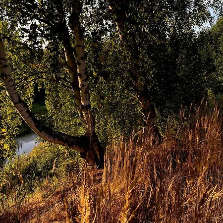 Skandynawskie Nad Pilica, Duzy بيت للعطل *